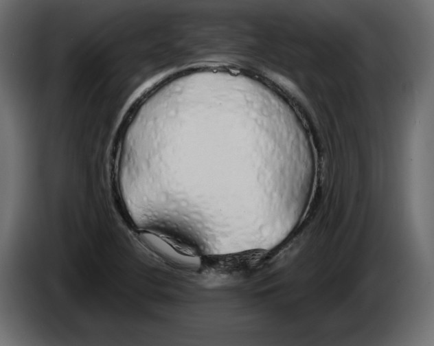 X0000084551412200703231726