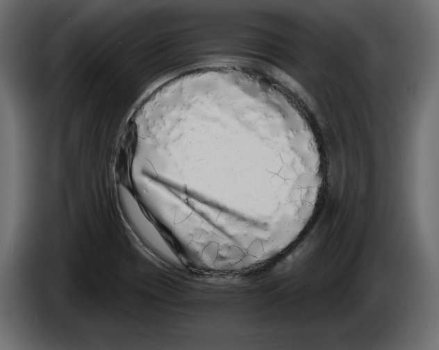 X0000084551417200703231726