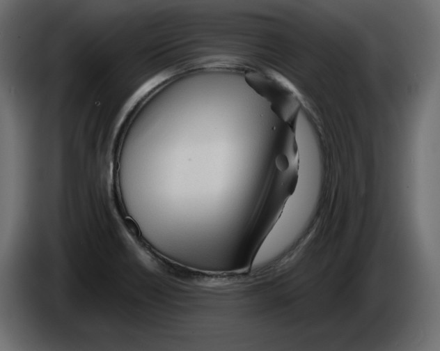 X0000084551418200703231726