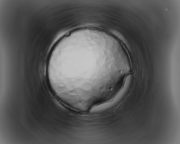 X0000084551420200703231726