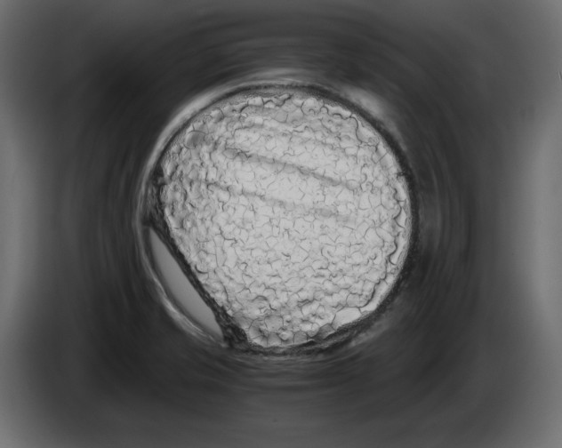 X0000084551421200703231726