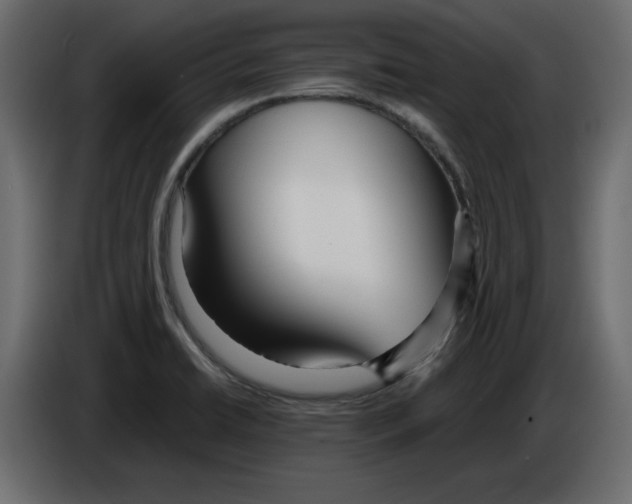 X0000084551422200703231726