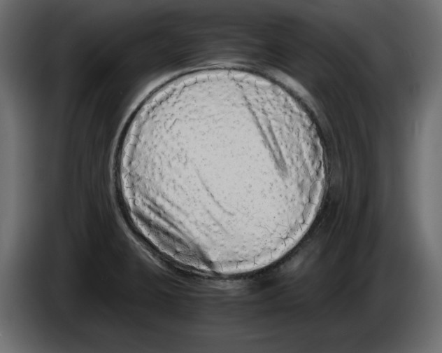 X0000084551423200703231726