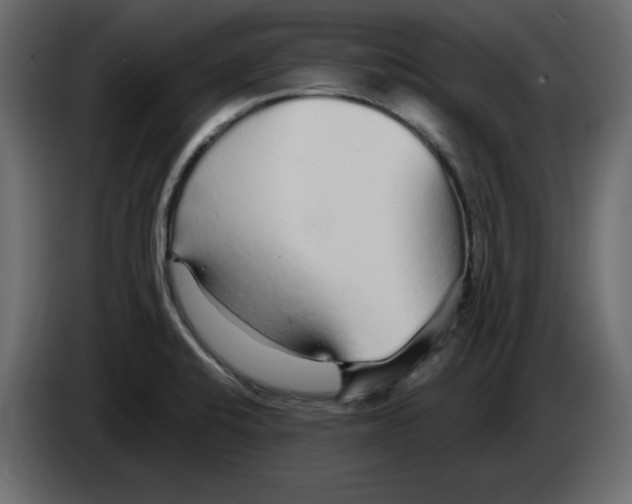 X0000084551424200703231726