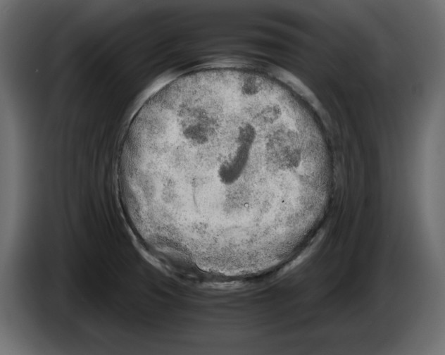 X0000084551425200703231726