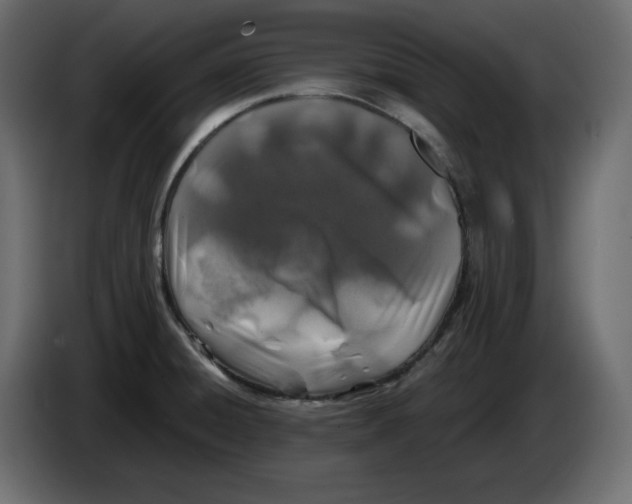 X0000084551428200703231726