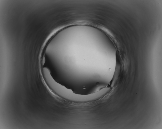 X0000084551430200703231726