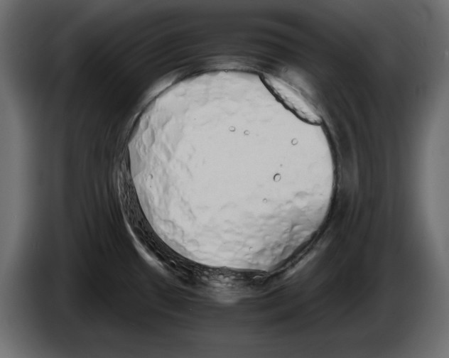 X0000084551433200703231727