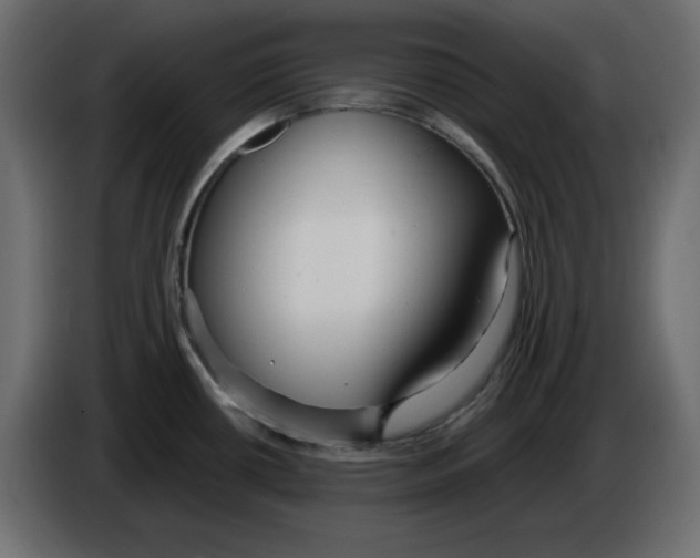 X0000084551434200703231727