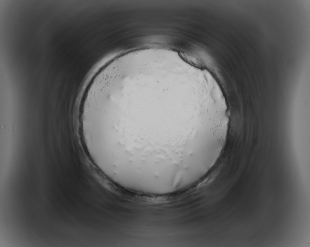 X0000084551435200703231727