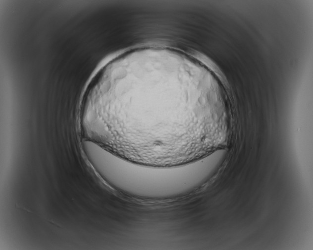 X0000084551436200703231727