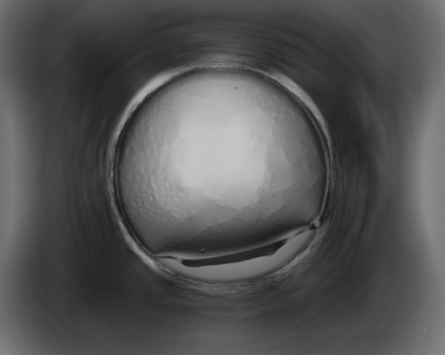 X0000084551437200703231727