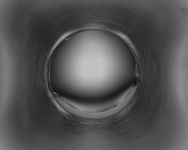 X0000084551438200703231727