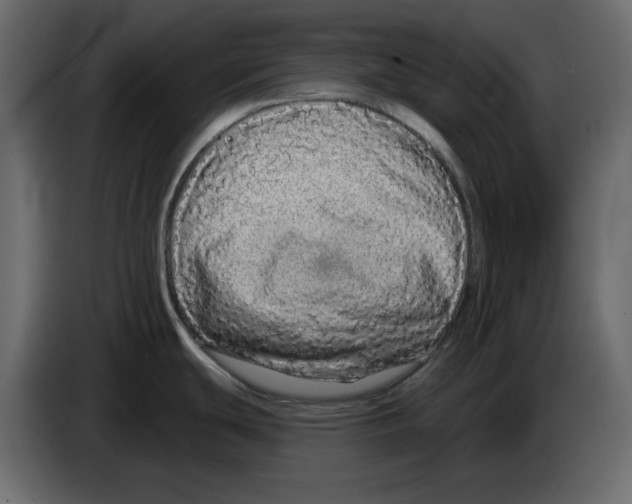 X0000084551439200703231727