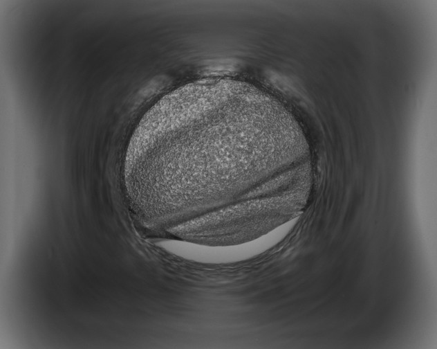 X0000084551441200703231726