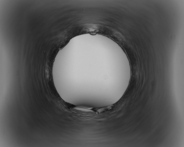 X0000084551442200703231726