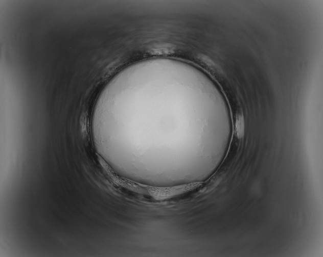 X0000084551444200703231726