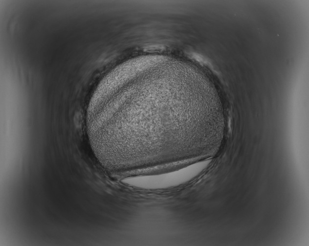 X0000084551445200703231726