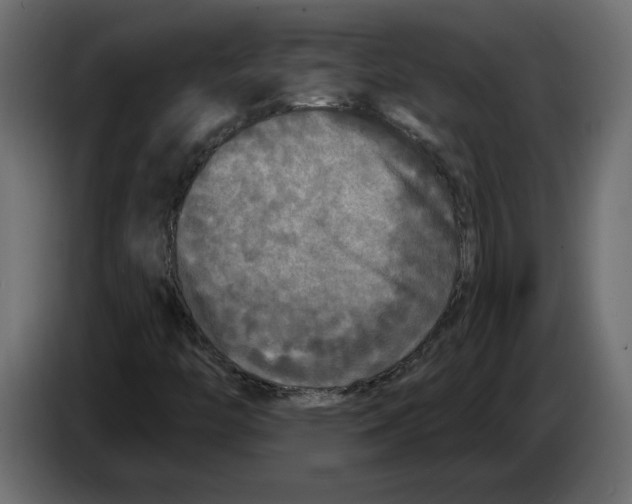 X0000084551446200703231726