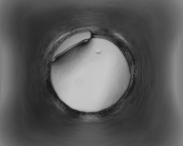 X0000084551448200703231726