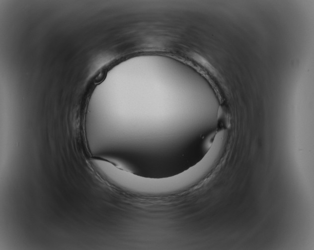 X0000084551450200703231726