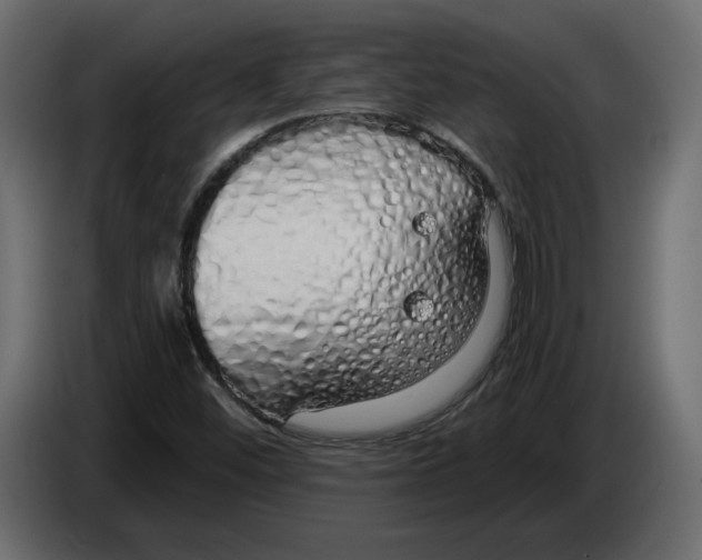 X0000084551452200703231726