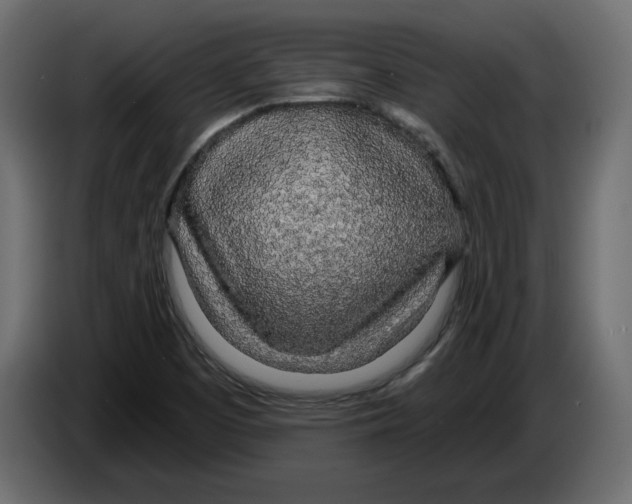 X0000084551457200703231726