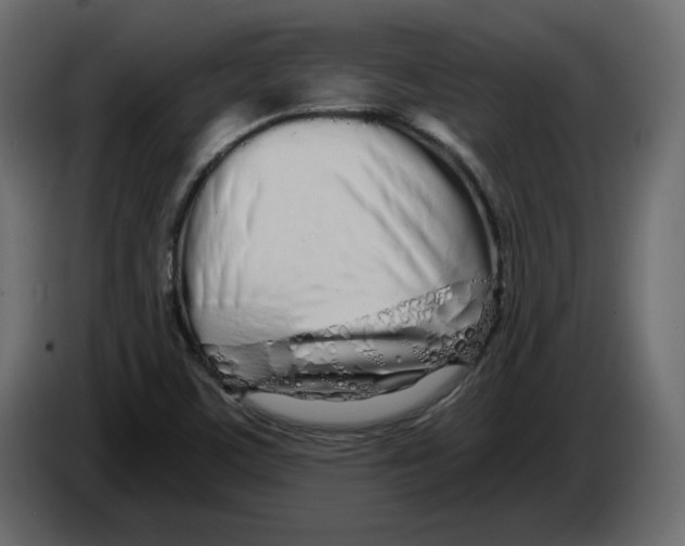 X0000084551459200703231726