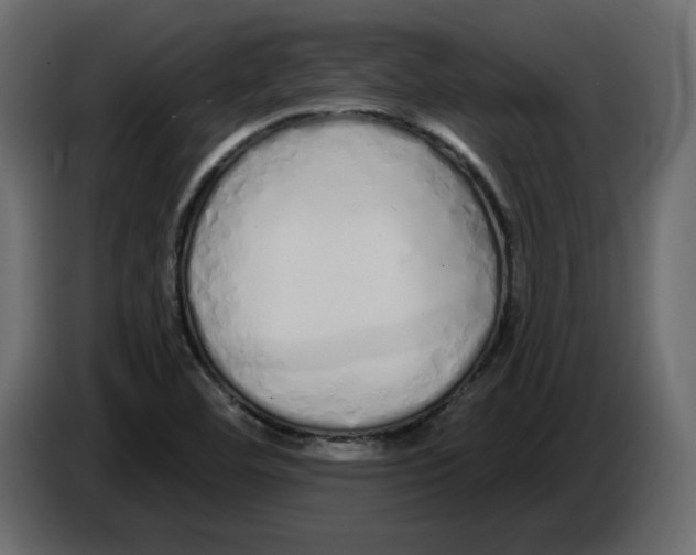 X0000084551460200703231726