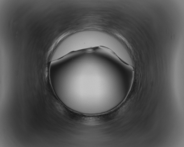 X0000084551461200703231726