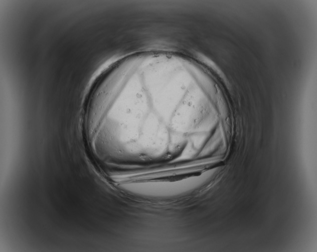 X0000084551463200703231726