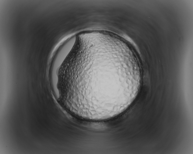 X0000084551464200703231726