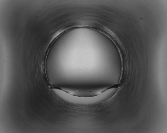 X0000084551465200703231726