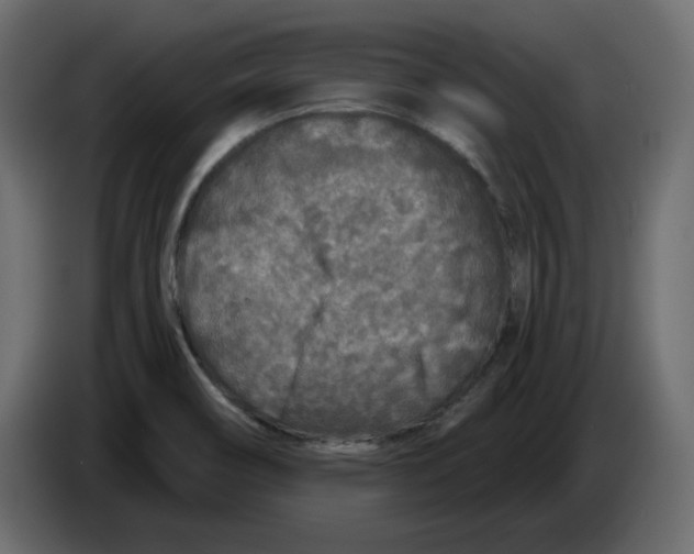 X0000084551466200703231726