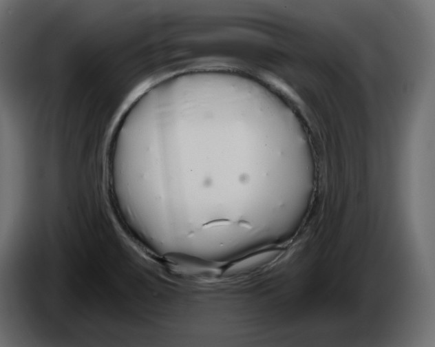 X0000084551467200703231726