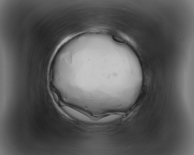 X0000084551471200703231726