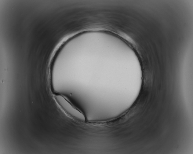 X0000084551472200703231726