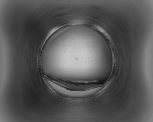 X0000084551473200703231726