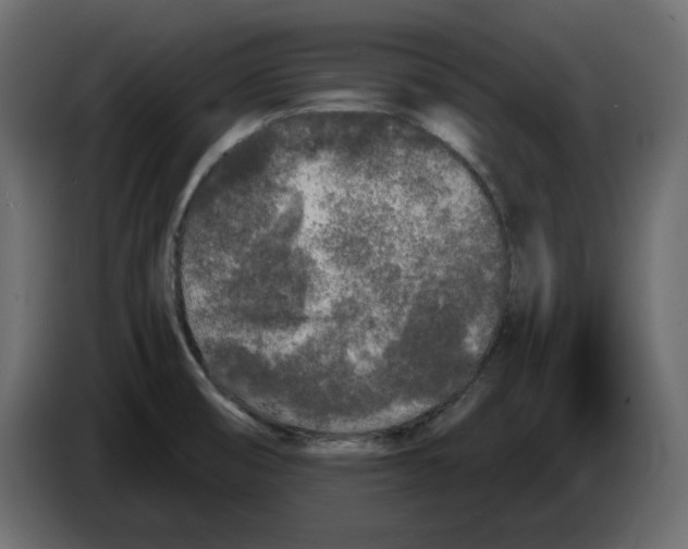 X0000084551474200703231725