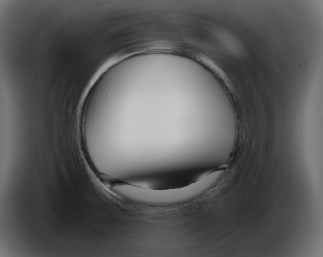 X0000084551475200703231725