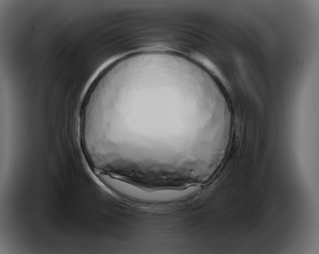 X0000084551476200703231725