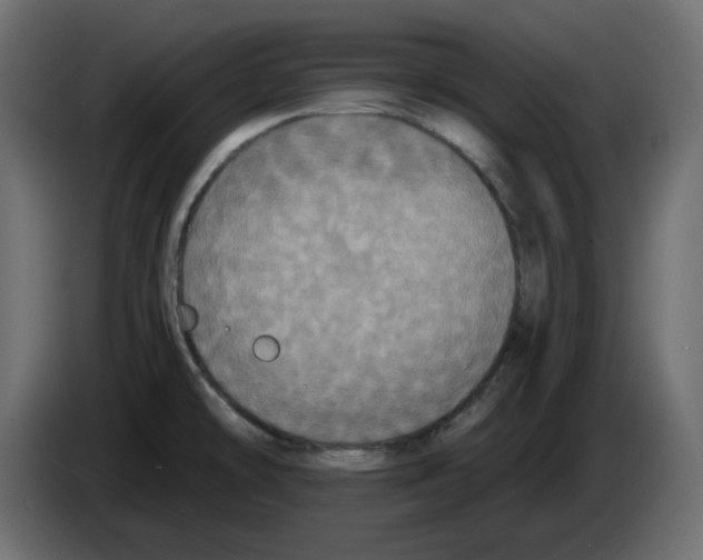 X0000084551478200703231725