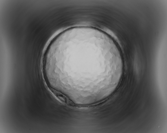 X0000084551480200703231725