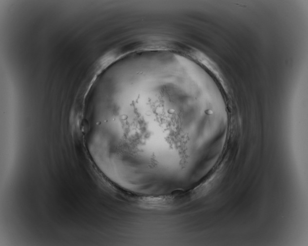 X0000084551481200703231725