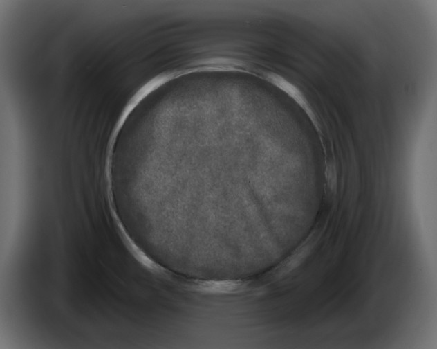 X0000084551482200703231725