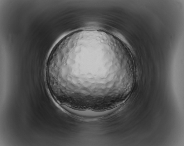 X0000084551484200703231725