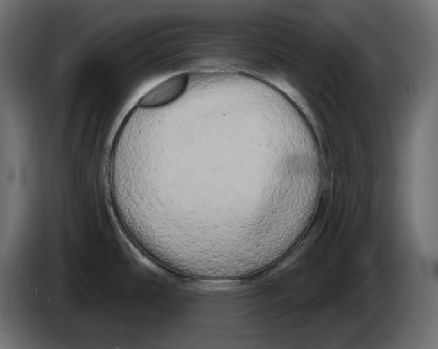 X0000084551486200703231725