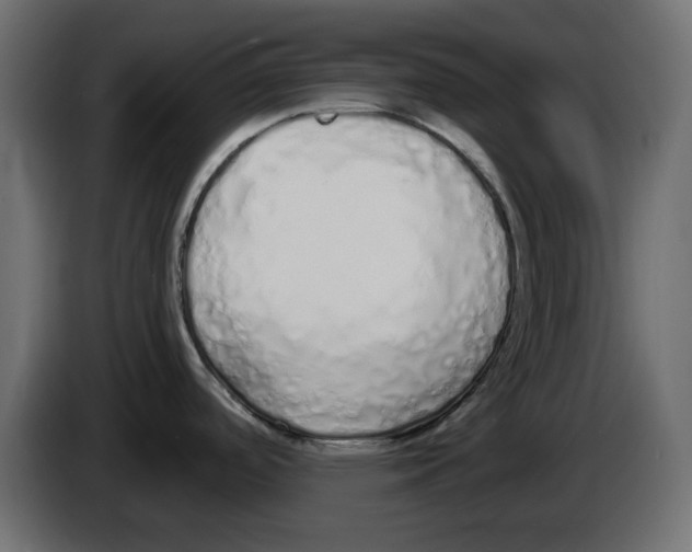 X0000084551488200703231725