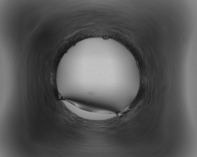 X0000084551490200703231725