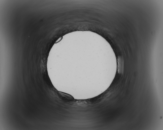 X0000084551491200703231725